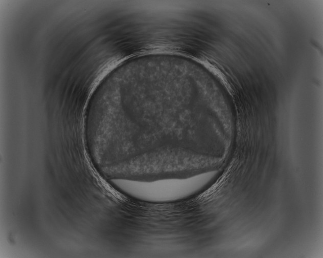 X0000097461333200803201418