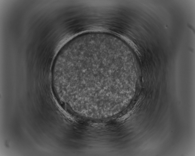 X0000097461335200803201418