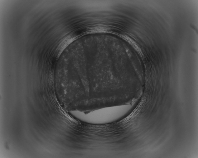 X0000097461337200803201418