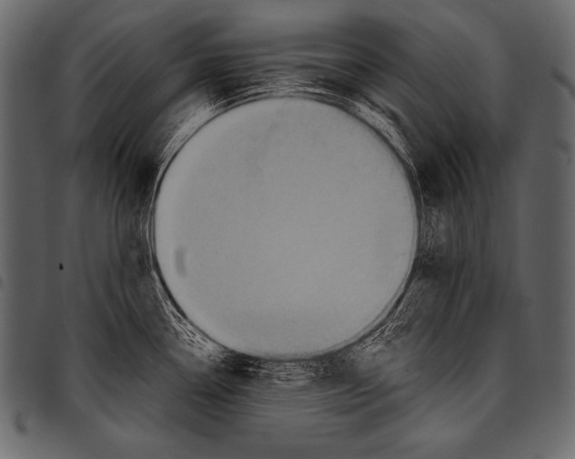 X0000097461338200803201418