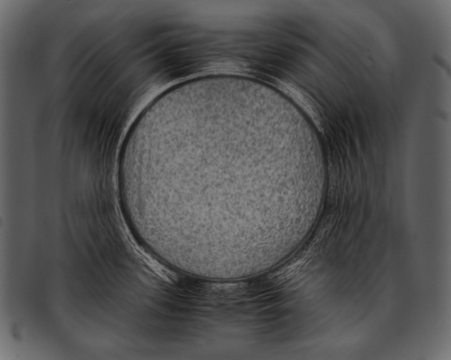 X0000097461339200803201418