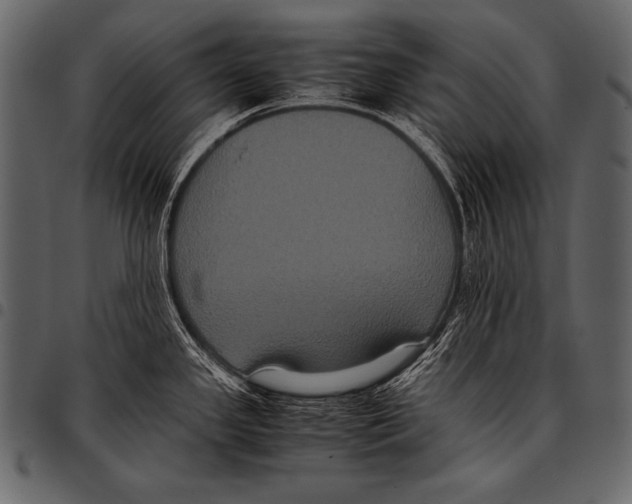 X0000097461341200803201418