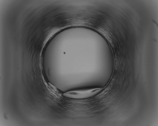 X0000097461342200803201418