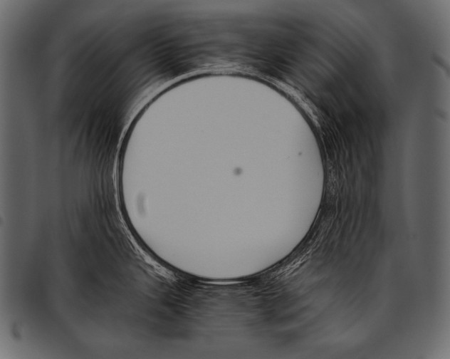 X0000097461343200803201418