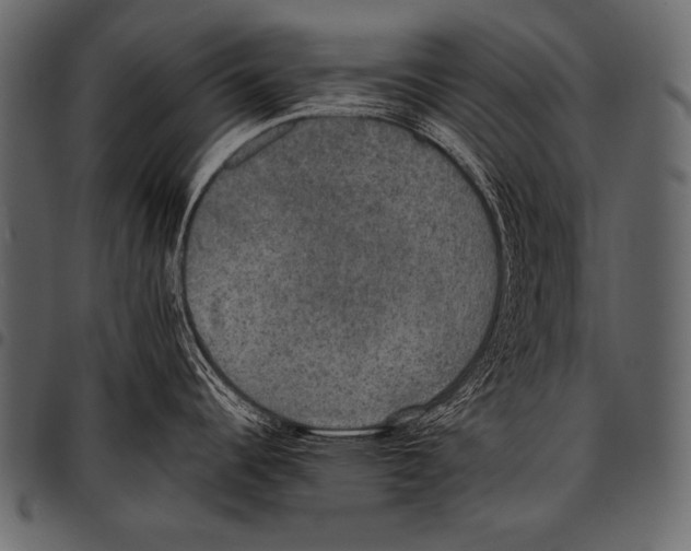 X0000097461344200803201418