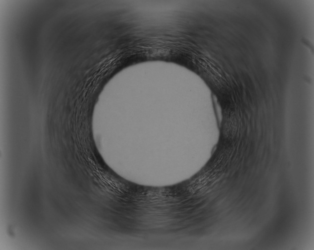 X0000097461345200803201417