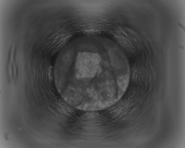 X0000097461346200803201417