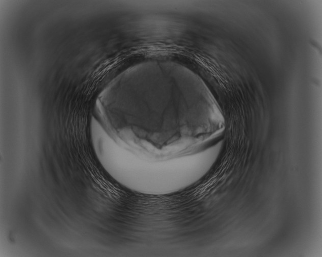 X0000097461348200803201417