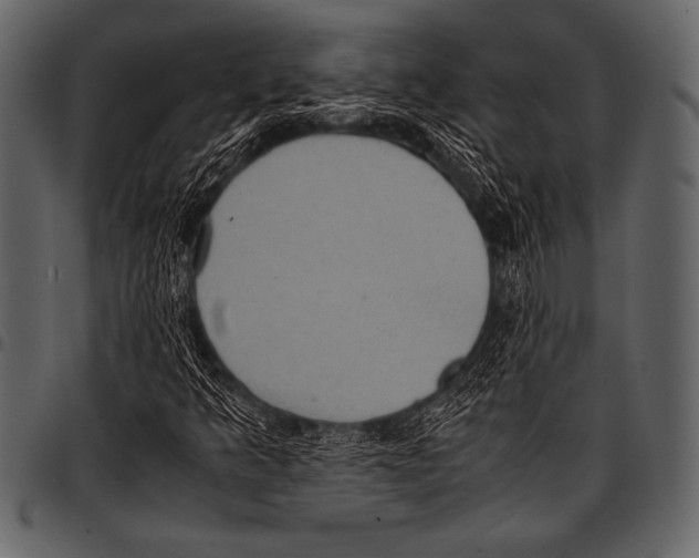 X0000097461349200803201417