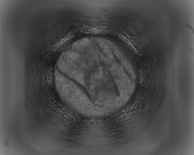 X0000097461350200803201417