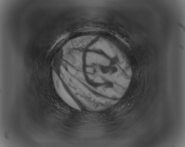 X0000097461351200803201417