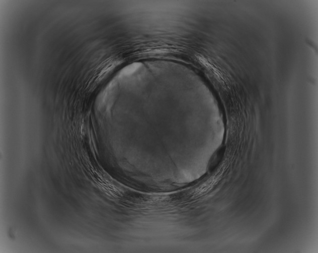 X0000097461353200803201417