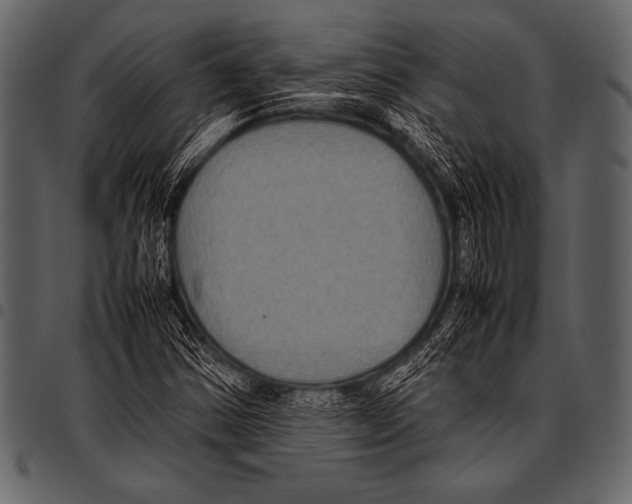 X0000097461354200803201417