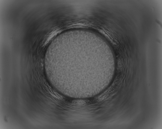 X0000097461355200803201417