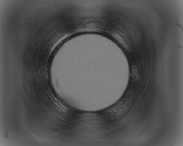 X0000097461356200803201417