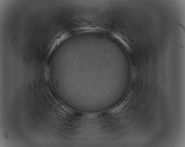 X0000097461357200803201417