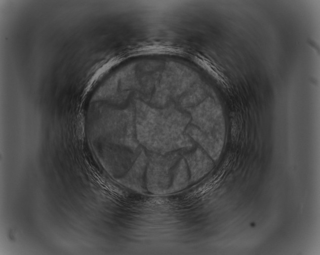 X0000097461358200803201417