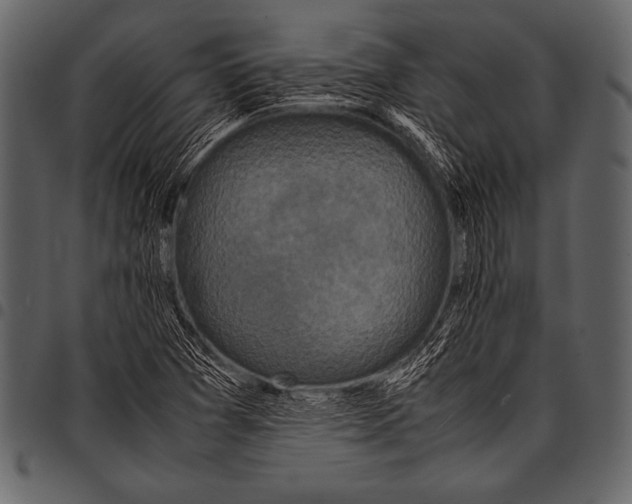 X0000097461361200803201417