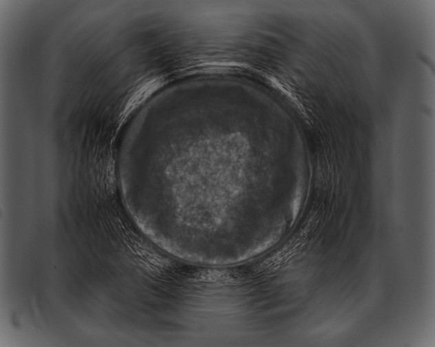 X0000097461362200803201417