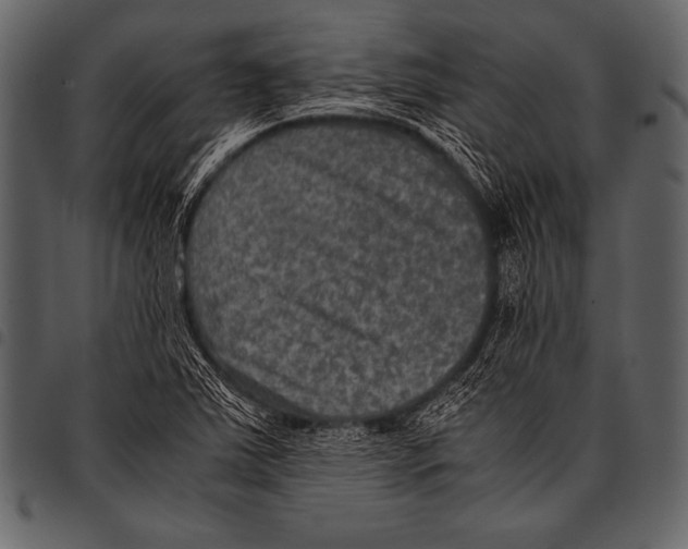 X0000097461363200803201417