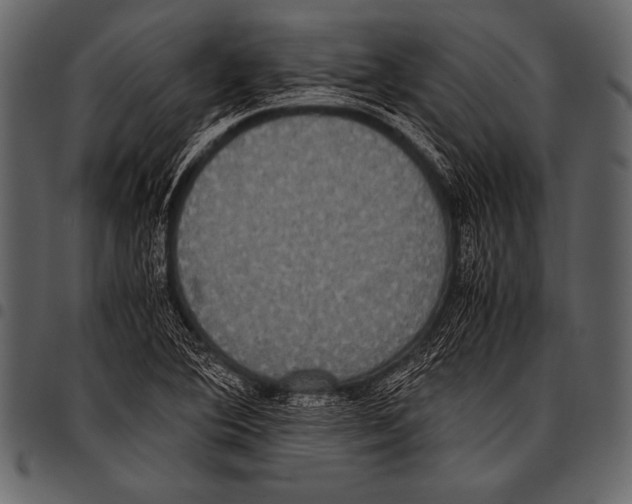 X0000097461364200803201417