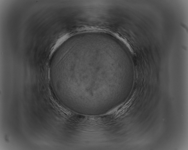 X0000097461365200803201417