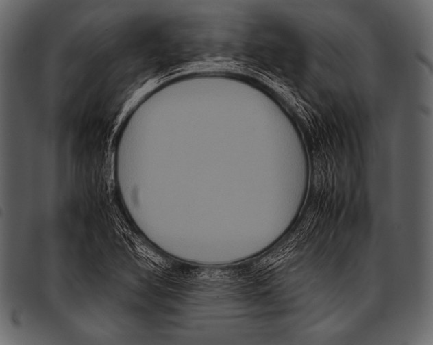 X0000097461366200803201417