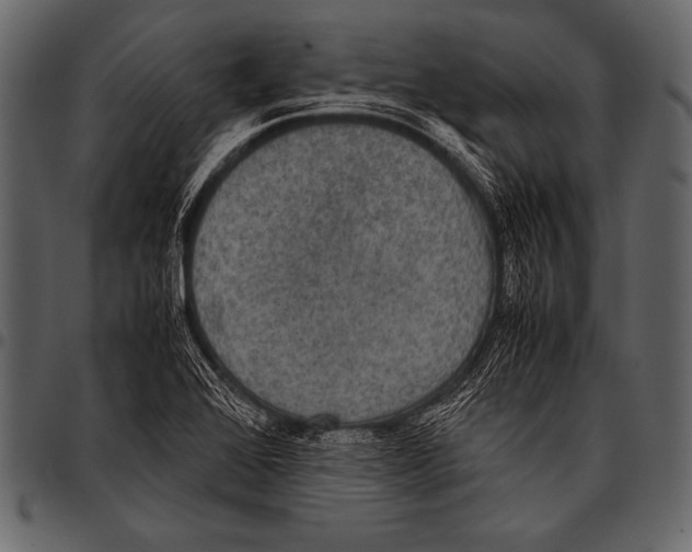 X0000097461368200803201417