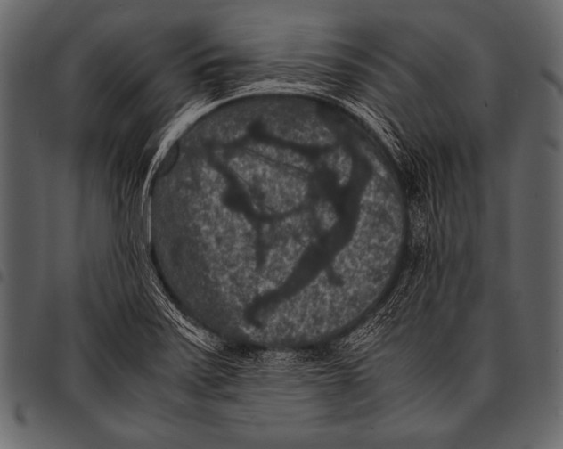 X0000097461371200803201417