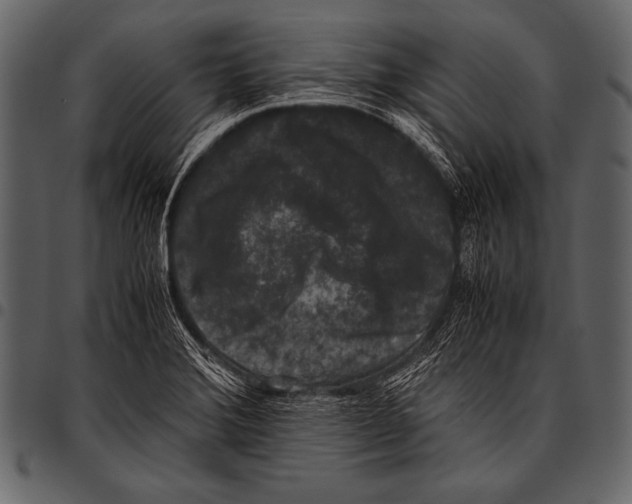 X0000097461372200803201417