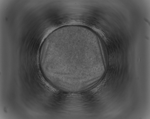 X0000097461374200803201417