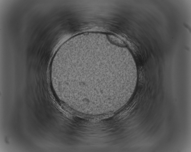 X0000097461375200803201417