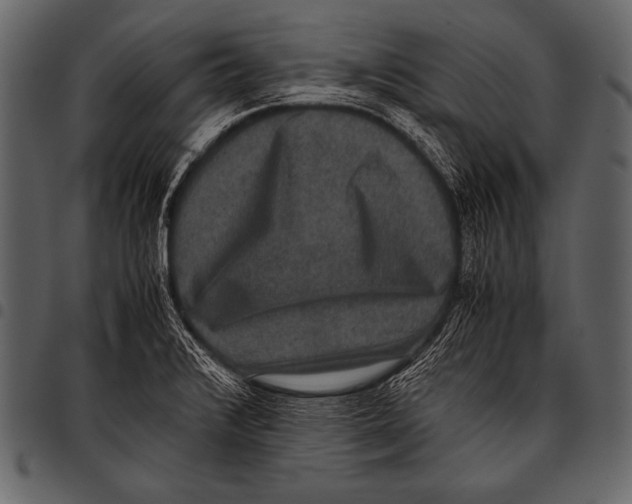 X0000097461376200803201417