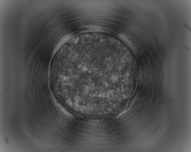 X0000097461378200803201417