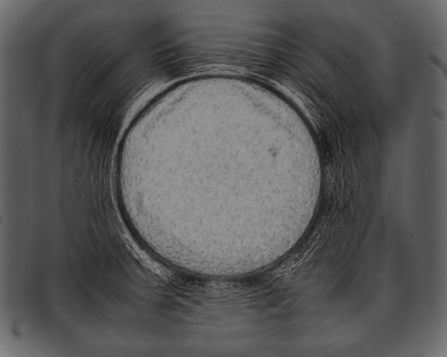 X0000097461379200803201417