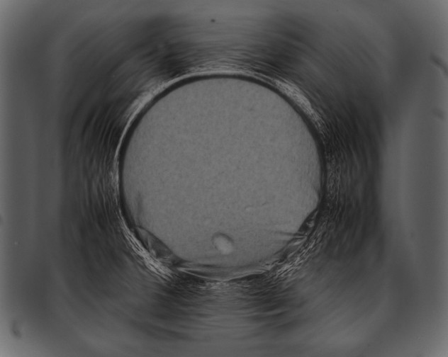 X0000097461380200803201417