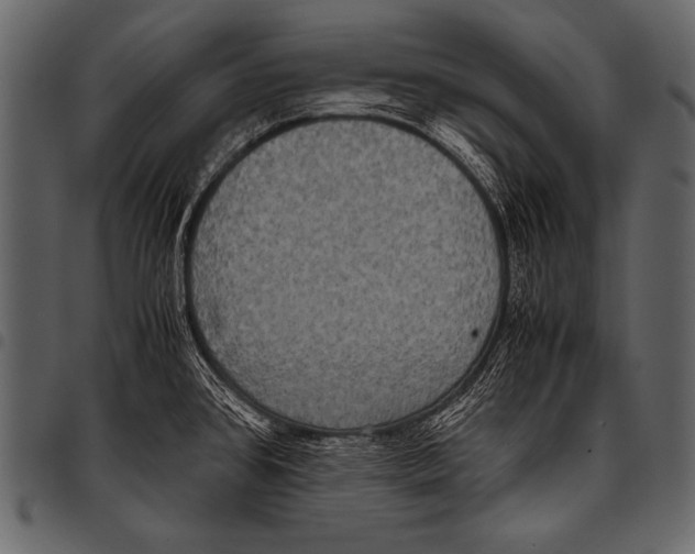 X0000097461384200803201417