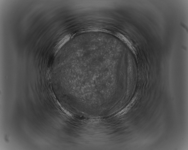 X0000097461385200803201417