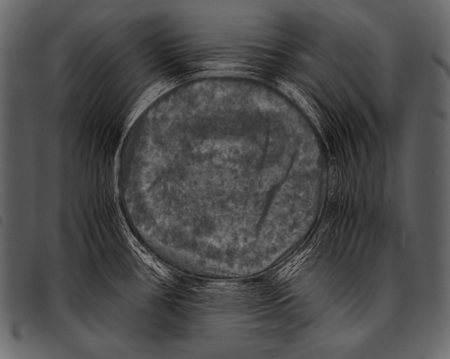 X0000097461386200803201417