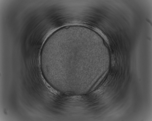 X0000097461388200803201417