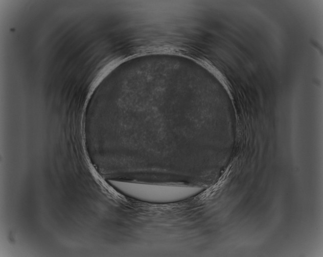 X0000097461389200803201417