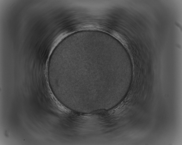 X0000097461392200803201417