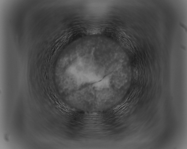 X0000097461393200803201416