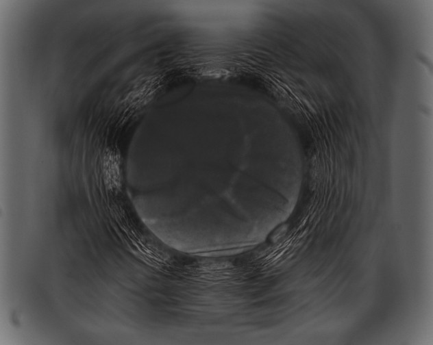 X0000097461394200803201416