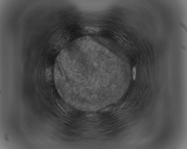 X0000097461395200803201416