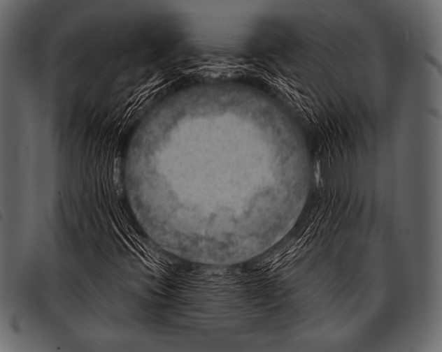 X0000097461396200803201416