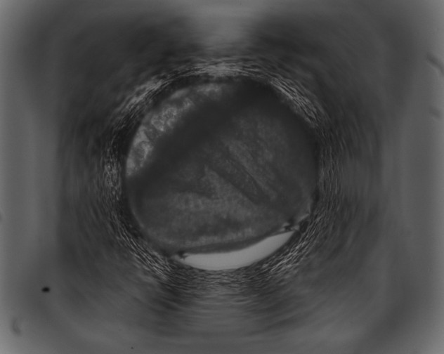 X0000097461398200803201416