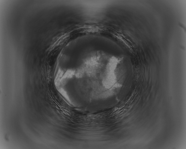 X0000097461399200803201416