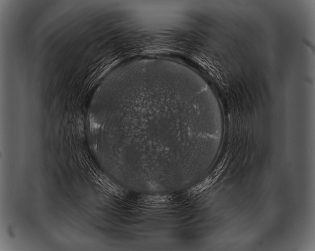 X0000097461401200803201416