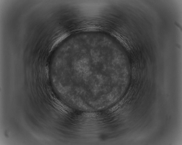 X0000097461402200803201416